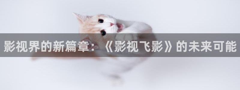麦田影院app：影视界的新篇章：《影视飞影》的未来可能