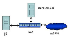 RADIUS工作原理及服务器测试在网络接入业务与服务中的应用