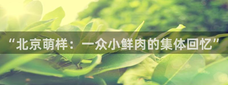麦田电影在线播放：“北京萌样：一众小鲜肉的集体回忆”