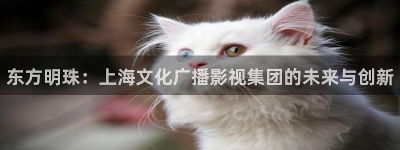 唐山麦田国际影城：东方明珠：上海文化广播影视集团的未来与创新