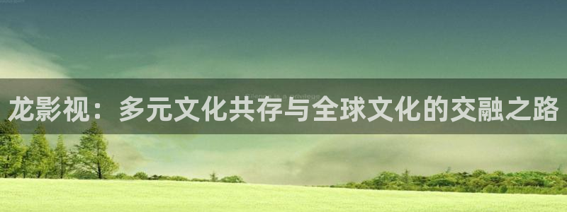 麦田视觉摄影怎么样：龙影视：多元文化共存与全球文化的交融之路
