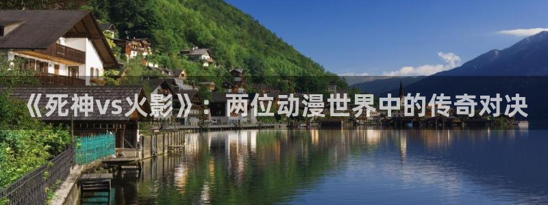 麦田视觉：《死神vs火影》：两位动漫世界中的传奇对决