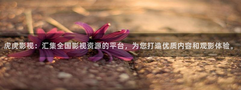 麦田影视官方网站入口：虎虎影视：汇集全国影视资源的平台，为您打造优质内容和观影体验。