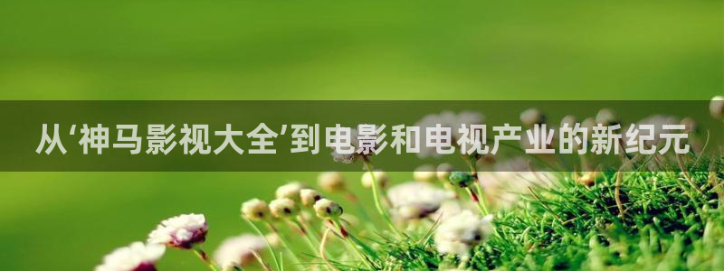 麦田影院最新版本下载：从‘神马影视大全’到电影和电视产业的新纪元
