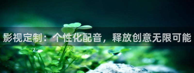冀州麦田影城电影查询：影视定制：个性化配音，释放创意无限可能