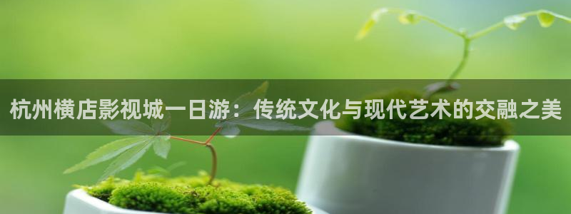 冀州麦田影城电影查询：杭州横店影视城一日游：传统文化与现代艺术的交融之美